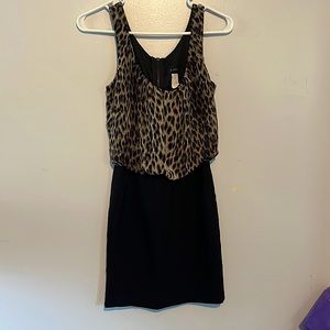Leopard print / black dress